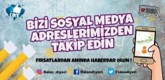 Duke Yaban Mersini Blueberry, 80+ cm, Tüplü/Saksılı