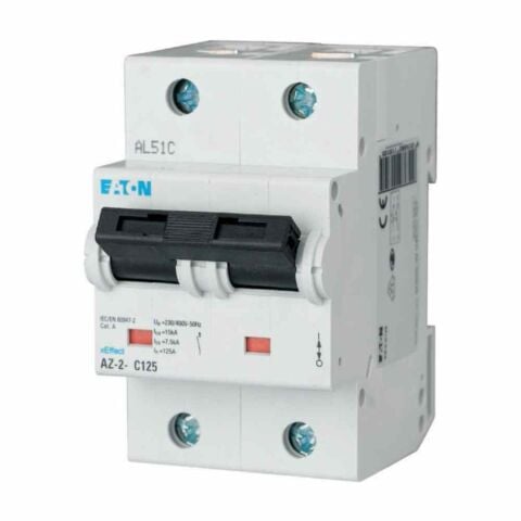 EATON 248014 MİNYATÜR DEVRE KESİCİ - 20KA - C EĞRİSİ - 2X100A
