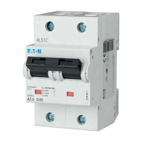 EATON 248014 MİNYATÜR DEVRE KESİCİ - 20KA - C EĞRİSİ - 2X100A