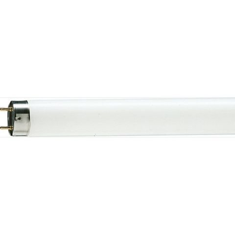 PHILIPS 18W SNOW WHİTE (BUZ BEYAZ)