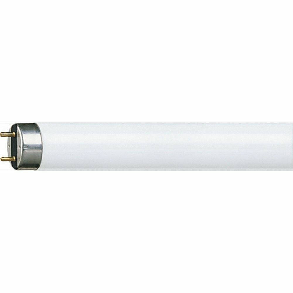 PHILIPS 36W-840 GÜN IŞIĞI FLORESAN AMPÜL