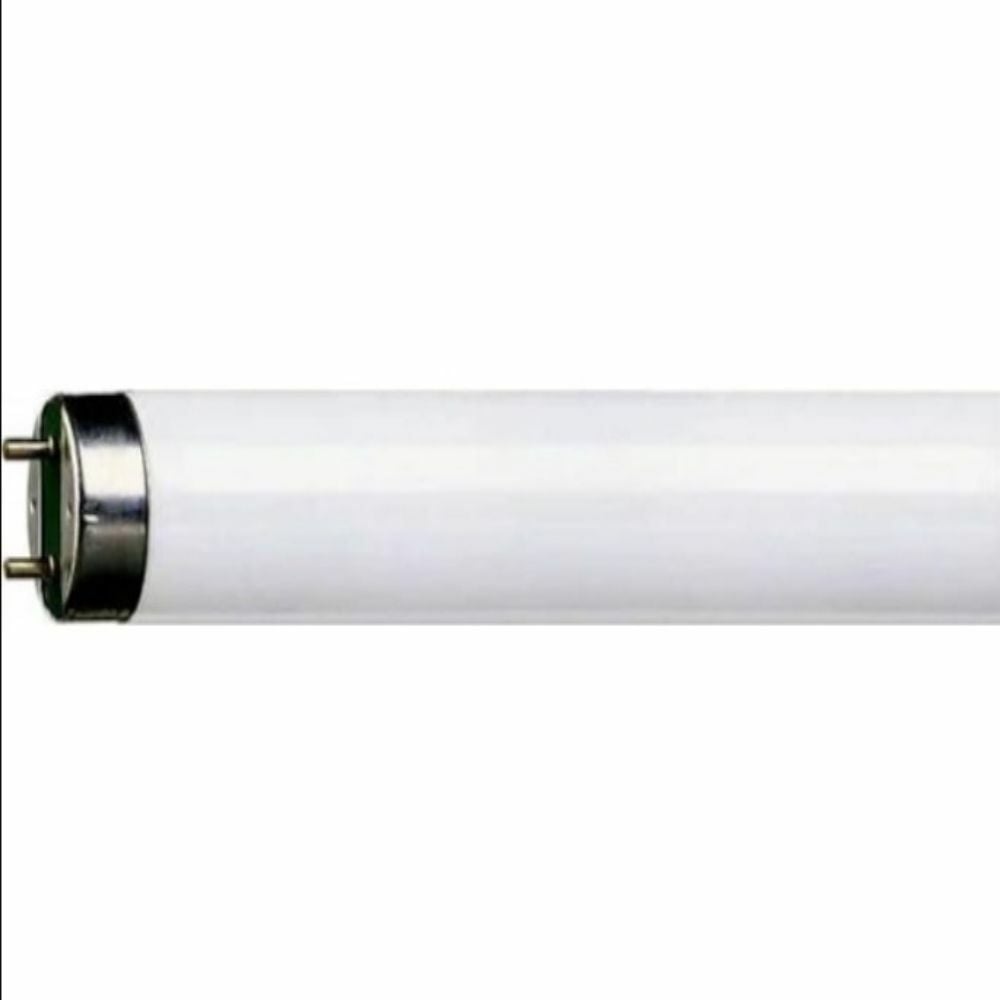 PHILIPS 36W-865 FLORESAN AMPUL