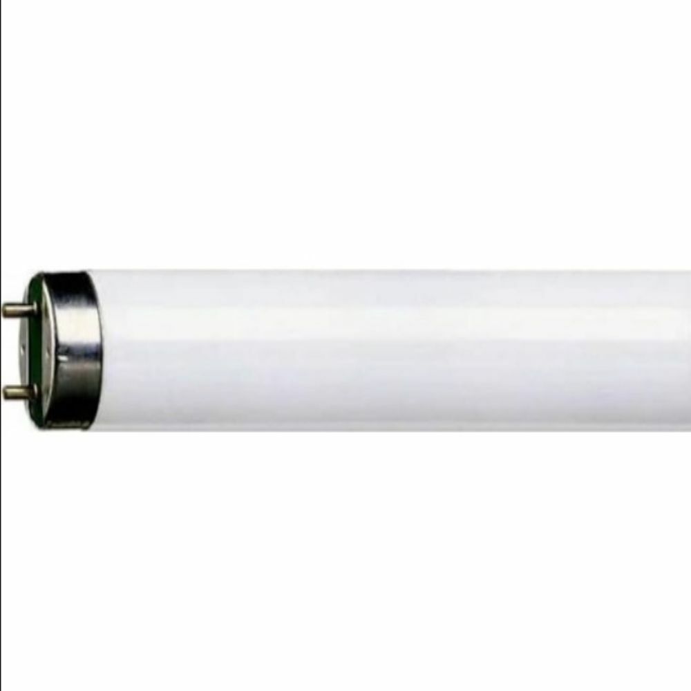 PHILIPS 36W-865 FLORESAN AMPUL
