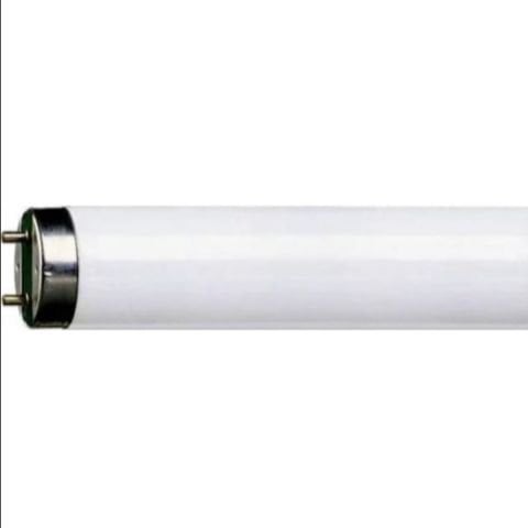 PHILIPS 36W-865 FLORESAN AMPUL