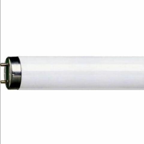 PHILIPS 36W-865 FLORESAN AMPUL