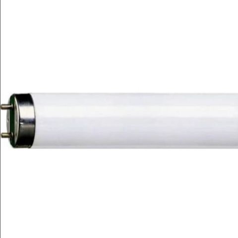 PHILIPS 36W-865 FLORESAN AMPUL