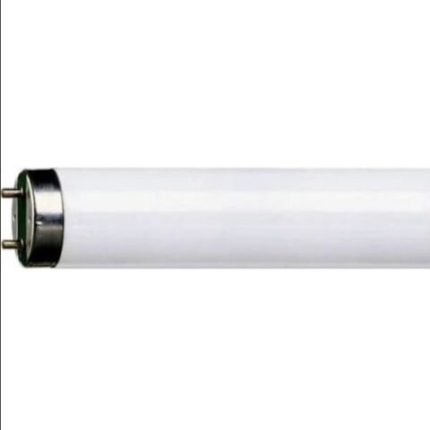 PHILIPS 36W-865 FLORESAN AMPUL