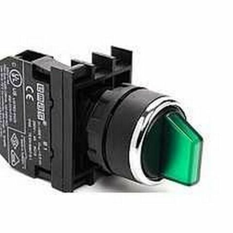 EMAS B100SL21Y IŞIKLI MANDAL BUTON YAYLI YEŞİL LED 0-1 1 NA