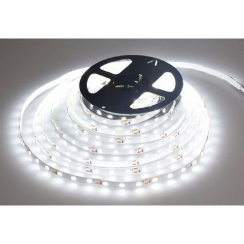 CATA 10 ÇİP ŞERİT LED İÇ MEKAN(BEYAZ)-CATA