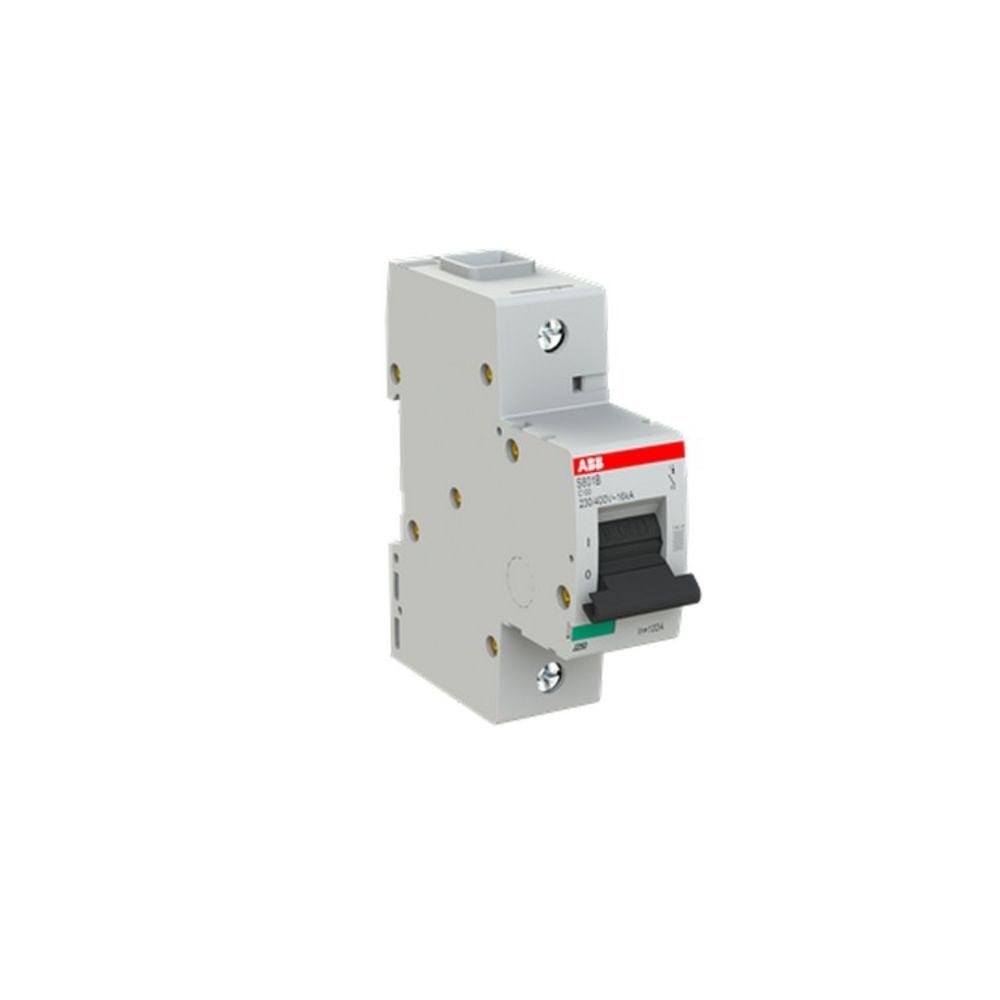 ABB 2CCS811001R0824 S801B-C 100-ABB OTOMATİK SİGORTA