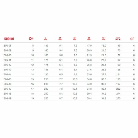 CETAFORM B06 SERİSİ C-GEAR CIRCIRLI KOMBİNE ANAHTARLAR (MAFSALLI) B06-15