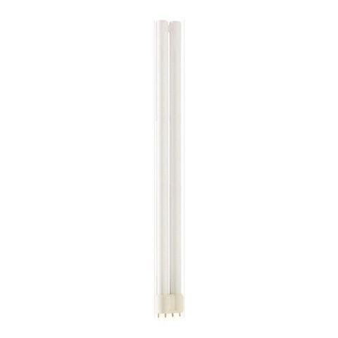 PHILIPS 36W-865-4P MASTER AMPUL