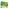 KLEMSAN Y-PER 17X70  509602 (100 ADET)