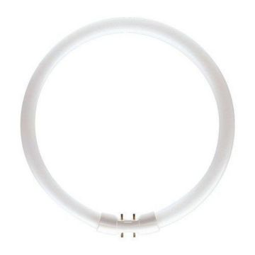 PHILIPS 40W-840 2GX13 4000K SİMİT FLORESAN AMPUL