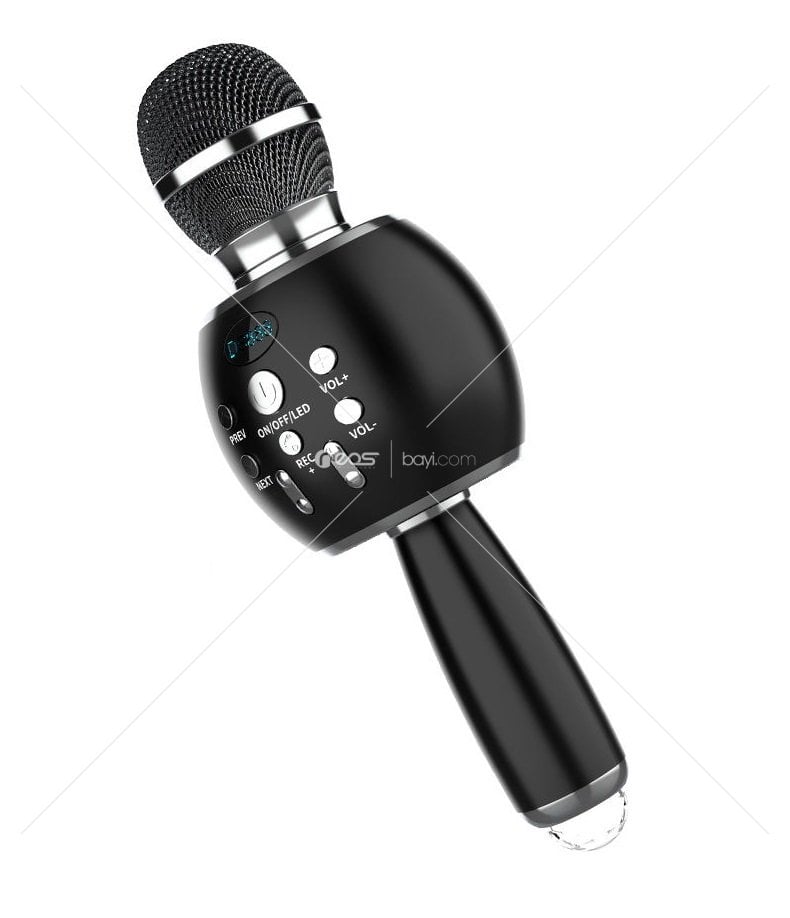 DS888 Karaoke Mikrofon