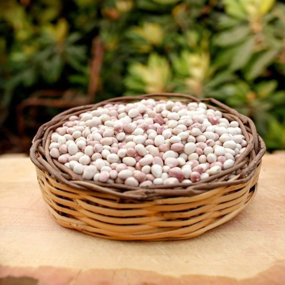 İspir Fasulye 500 Gram