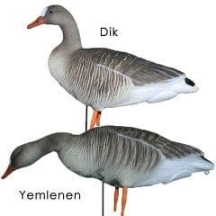 Dr Duck Tarla Kaz Mühre (3 Dik 1 Yemlenen)