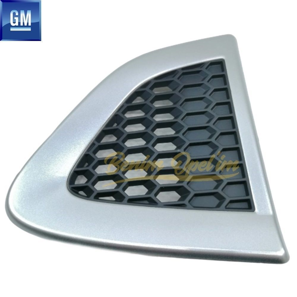 ÇAMURLUK IZGARASI SAĞ CAPTİVA C100