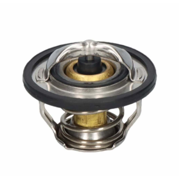 TERMOSTAT (İÇİ) Z22SE
