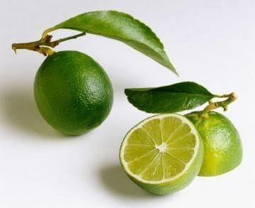 3 Yaş Aşılı Dikensiz Mexican Lime Fidanı, Torbada