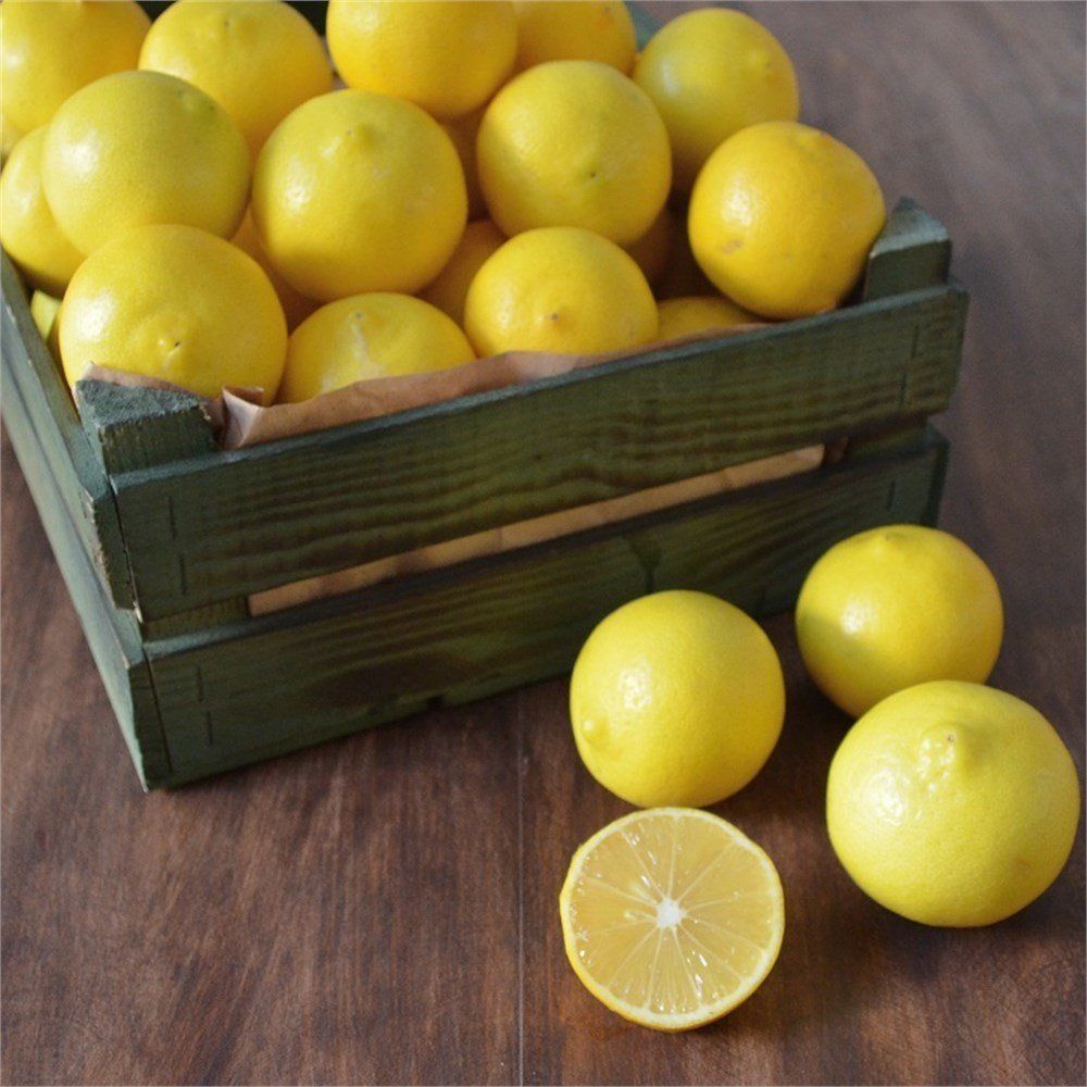 3 Yaş Aşılı Tatlı Limon Fidanı, Torbada