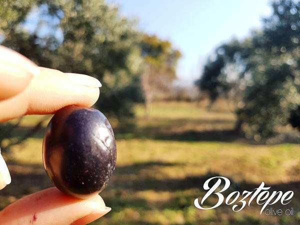 Gemlik Siyah Sele Zeytin  Doğal Fermente 1500 cc