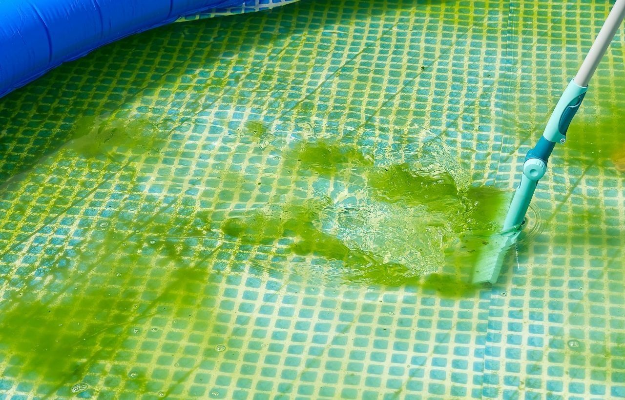 How to Prevent Pool Algae?