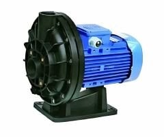 Best Model Ön Filtresiz Havuz Pompası 0.75 HP