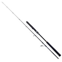 Ryuji Seawolf 180cm 400-800gr Jig Olta Kamışı