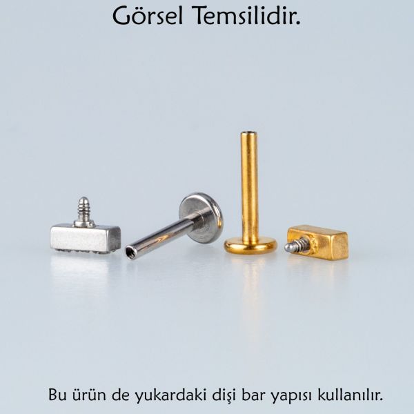 Piercing Çelik Tragus