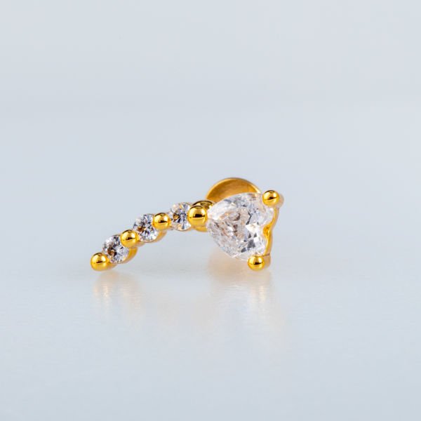 Piercing Tragus Kalp