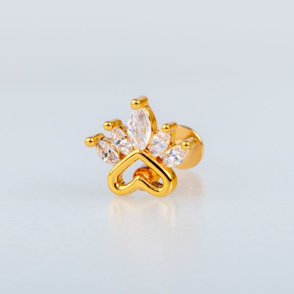 Piercing Tragus Pati