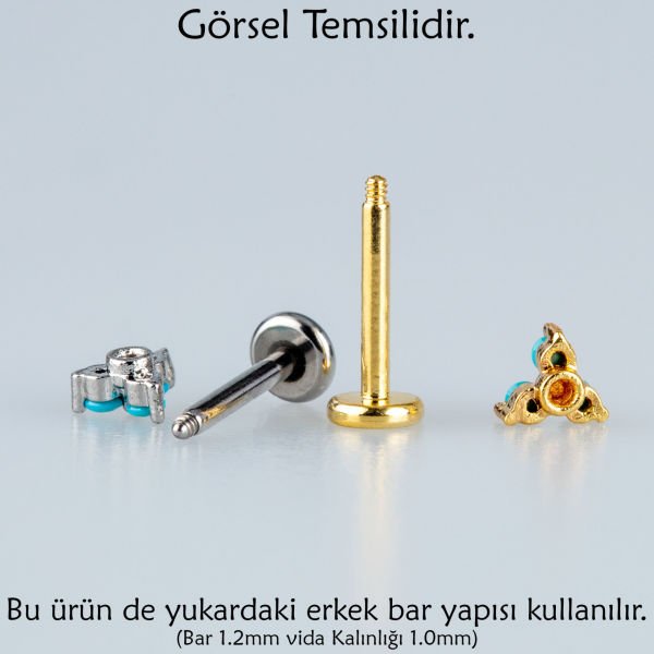Piercing Tragus