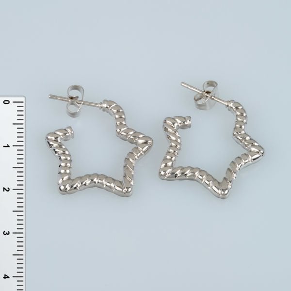 Steel Earring Star Pair