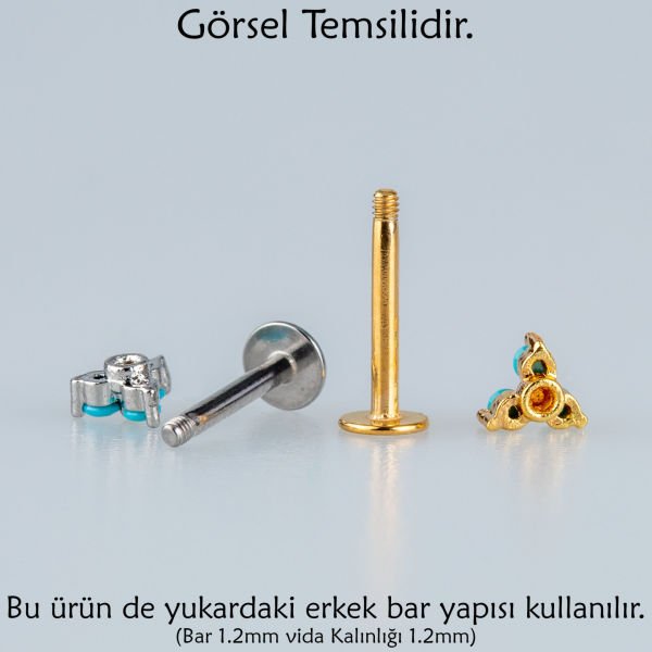 Piercing Tragus