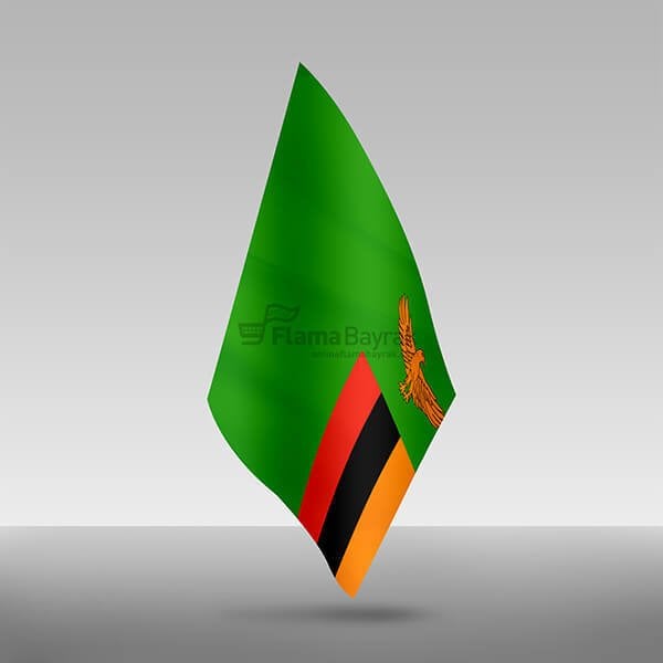 Zambiya Devleti