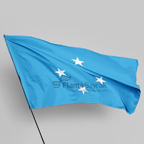 Mikronezya Devlet Bayrağı