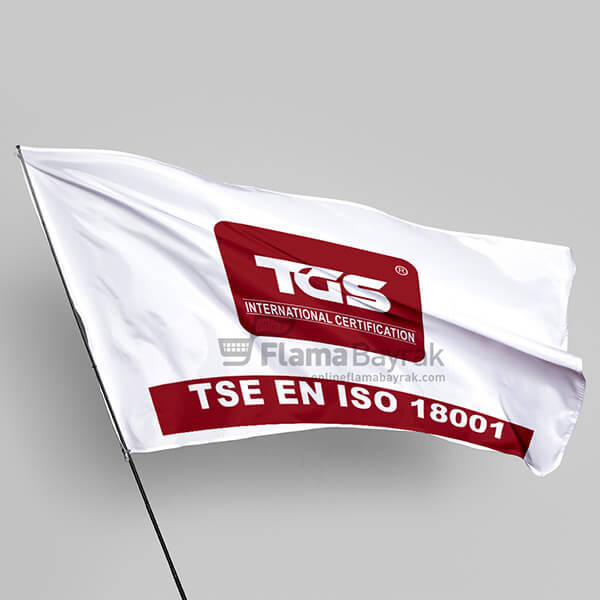 TGS İso 18001
