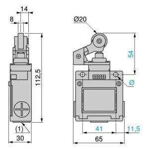 XCKM121 Plastik Makaralı Kollu Limit Switch