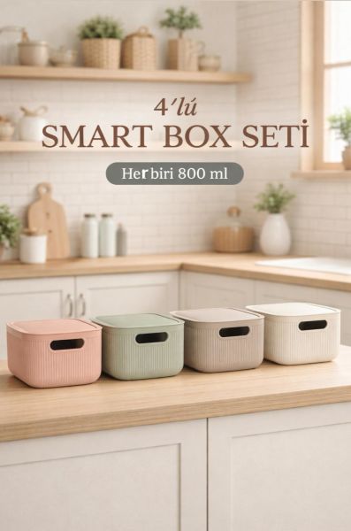 Okyanus Home Linea Smart Box Multi Renk 2,4 Lt 4 Adet Kapaklı Çok Amaçlı Saklama Kutusu