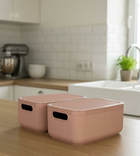 Okyanus Home Linea Smart Box Pembe 2,4 Lt 2 Adet Kapaklı Çok Amaçlı Saklama Kutusu