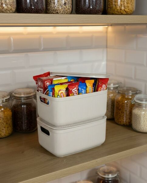 Okyanus Home Linea Smart Box Bej 2,4 Lt 2 Adet Kapaklı Çok Amaçlı Saklama Kutusu