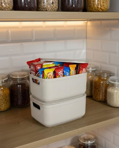 Okyanus Home Linea Smart Box Bej 2,4 Lt 2 Adet Kapaklı Çok Amaçlı Saklama Kutusu