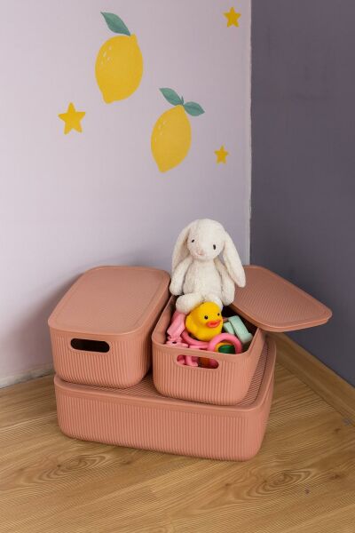 Okyanus Home Linea Smart Box Pembe 3lü Set 1 Adet 4,5 Lt 2 Adet 2,4 Lt Kapaklı Çok Amaçlı Saklama Kutusu