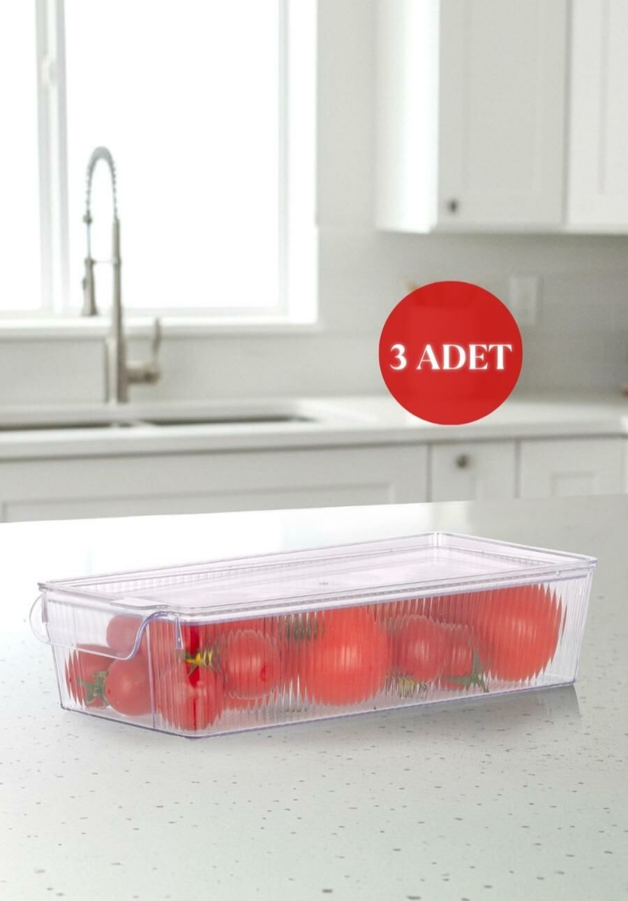 Okyanus Home 3 Adet Kapaklı Midi Buzdolabı Organizeri ve Saklama Kabı 2250ML