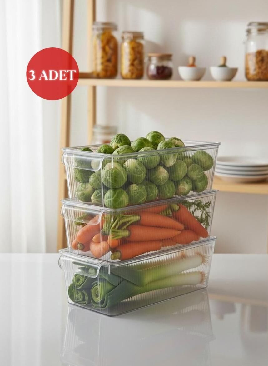 Okyanus Home 3 Adet Kapaklı Midi Buzdolabı Organizeri ve Saklama Kabı 3250ML