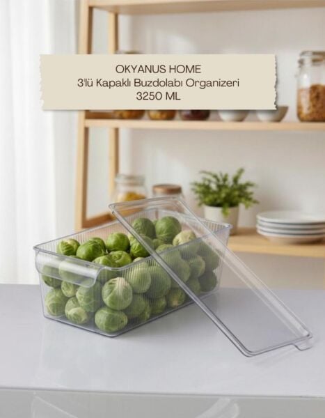 Okyanus Home 3 Adet Kapaklı Midi Buzdolabı Organizeri ve Saklama Kabı 3250ML