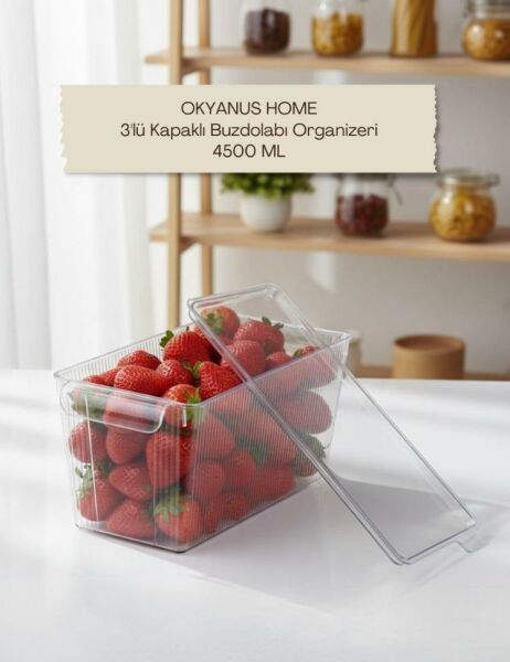 Okyanus Home 3 Adet Kapaklı Midi Buzdolabı Organizeri ve Saklama Kabı 4500ML