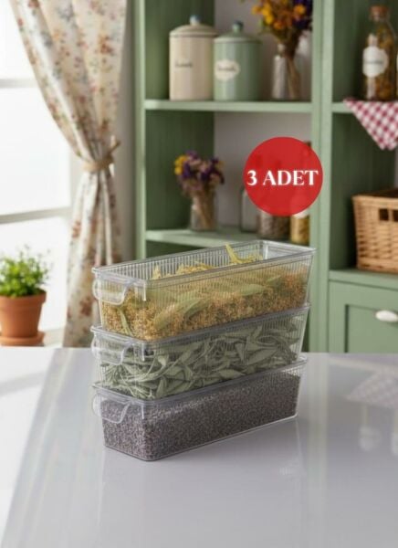 Okyanus Home 3 Adet Kapaklı Mini Buzdolabı Organizeri ve Saklama Kabı 1250ML