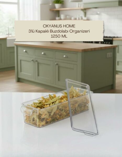 Okyanus Home 3 Adet Kapaklı Mini Buzdolabı Organizeri ve Saklama Kabı 1250ML